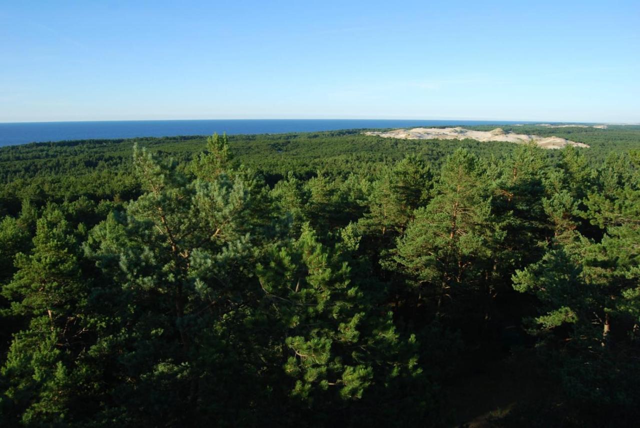 Z Widokiem Na Wydme Villa Lokciowe Bagian luar foto
