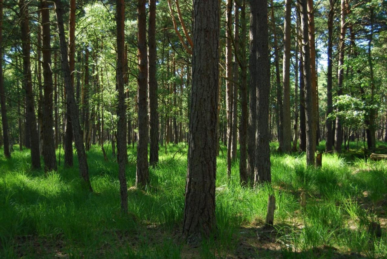 Z Widokiem Na Wydme Villa Lokciowe Bagian luar foto